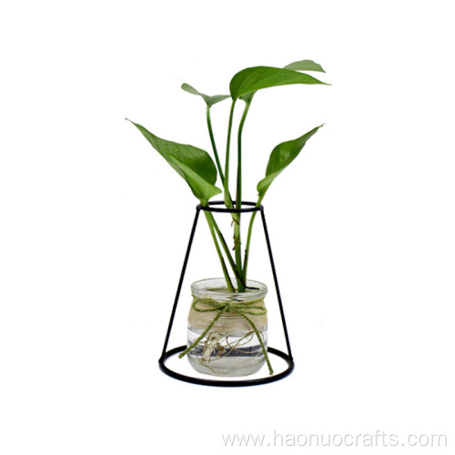 transparent hydroponic flower vase decoration ornaments